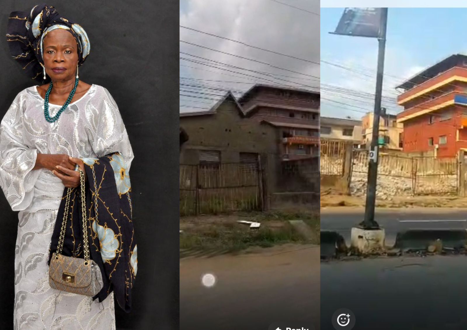 Estate Under Siege: While the Dead Waits for Burial, the Living Strip Her Estate